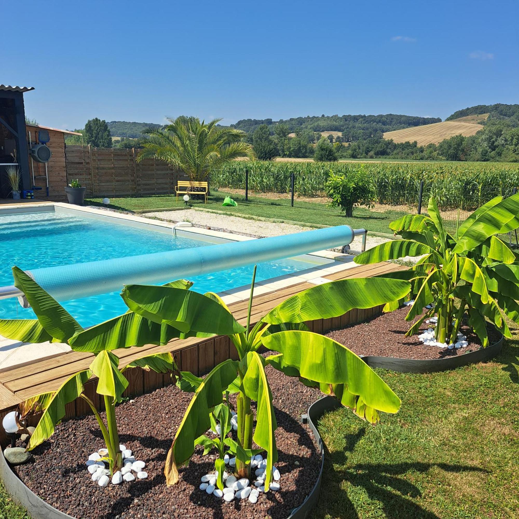 Le Domaine Vesque Villa Saint-Pierre-de-Clairac Bagian luar foto